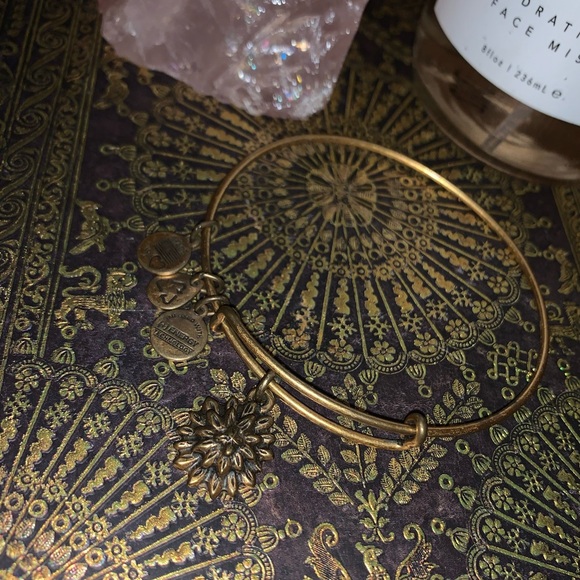 Alex + Ani Bracelet - Picture 2 of 3